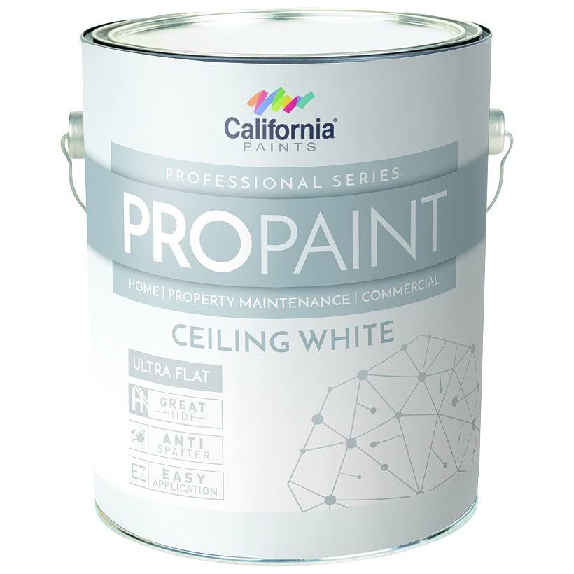 California Products - Gray Seal 53900-1 1G Int Ceiling White