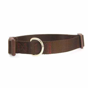 Pet Pals US2391 06 31 Zack& Zoey Nylon Cllr 6-10 in Chocolate | Collars, Harnesses & Leads | Delivery Guaranteed | Best Price Guarantee