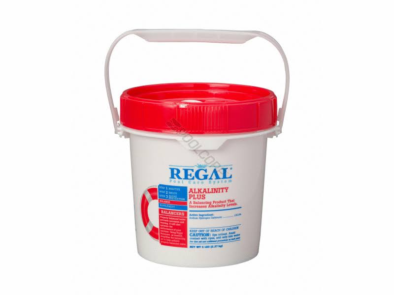 Regal 12001560 5 lbs Alkalinity Plus Chemical Balancer 4 per Case