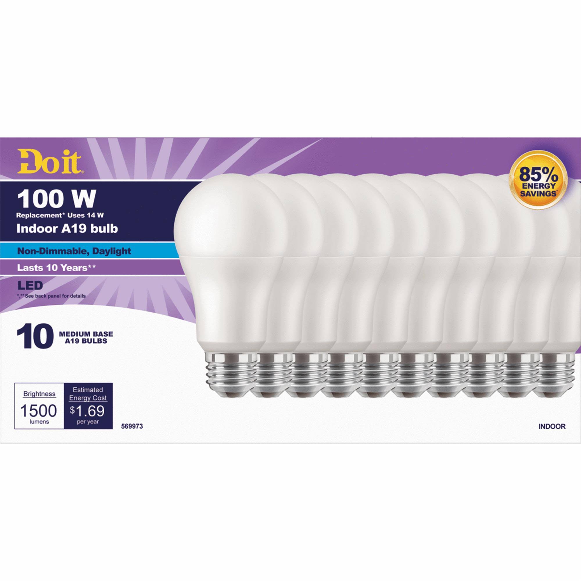 Do It 100W Equivalent Daylight A19 Medium LED Light Bulb (10-Pack)