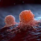 The Nightlife of Cancer Metastases