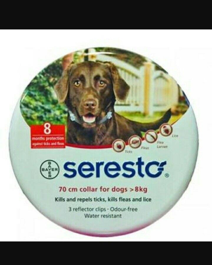 Bayer Seresto Large Dog Collar - 8 Months Protection