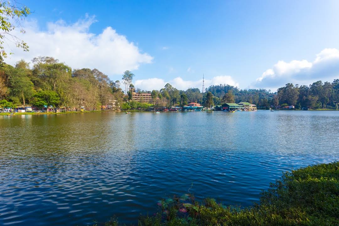 Kodaikanal Lake image