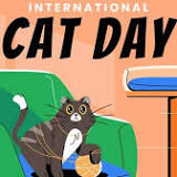 Top tips for feline fine and staying safe this International Cat Day