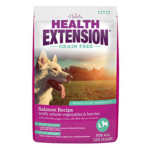 Health Extension Grain Free Dry Dog Food - Salmon Recipe, 1lb