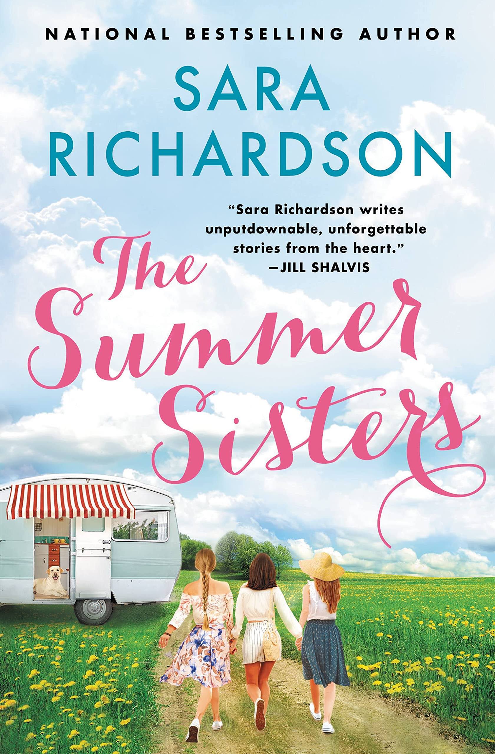 The Summer Sisters [Book]