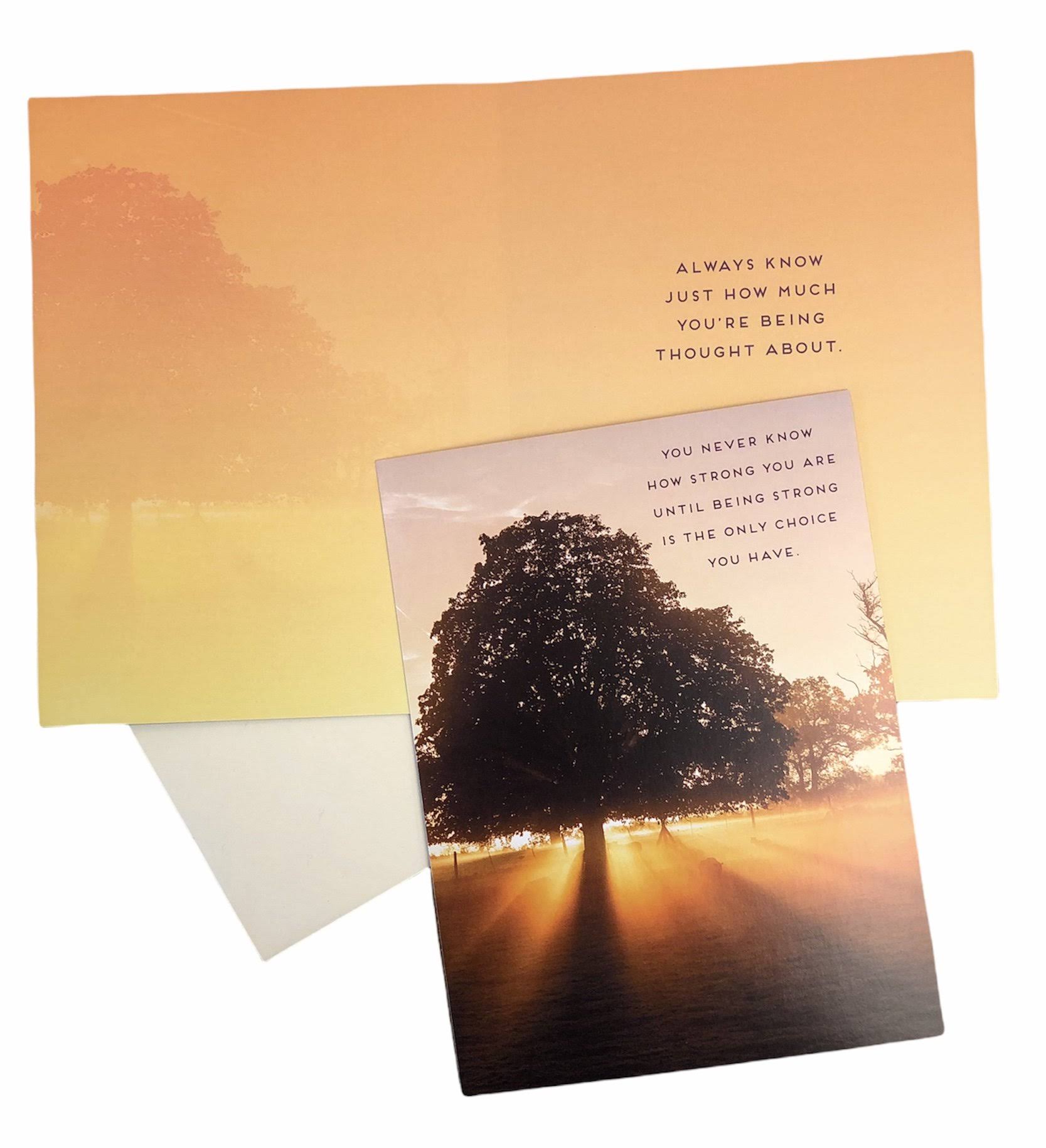 Get Well & Encouragement Cards Tree of Light