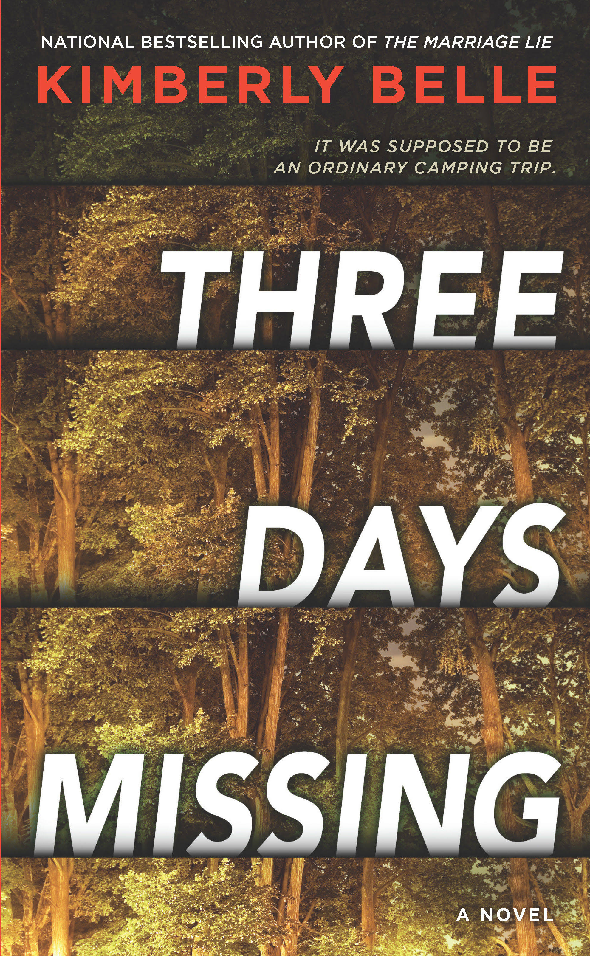 Three Days Missing [Book]