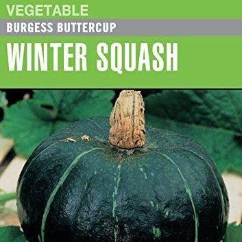 Squash Burgess Buttercup - Cornucopia Seeds