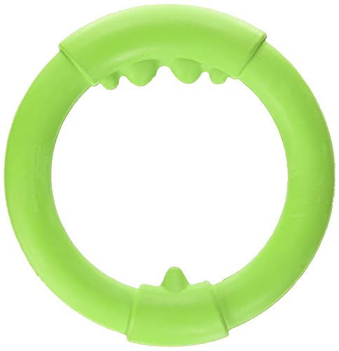 JW Pet Company Big Mouth Ring Single Dog Toy - Large, Colors Vary