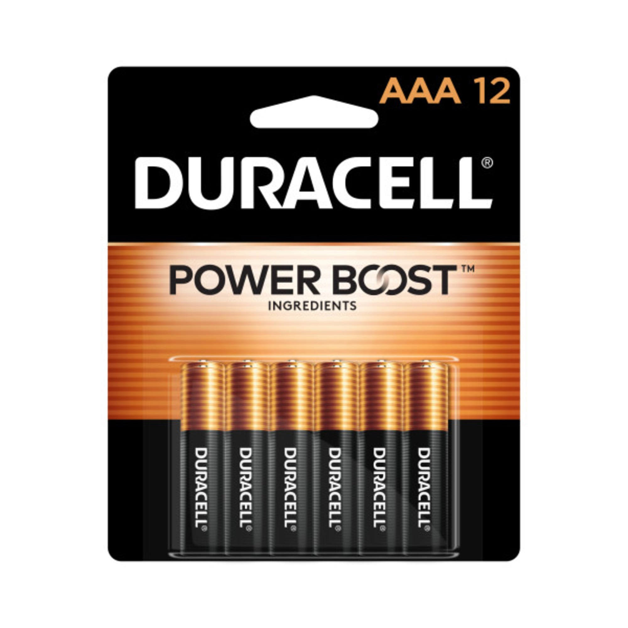 Duracell Power Boost Batteries, Alkaline, AAA, 1.5 V - 12 batteries