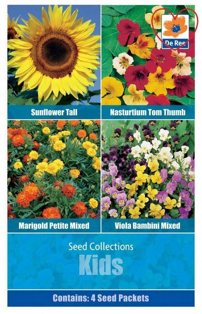 Flower Seed COLLECTIONS - 4 in 1 Pack - Kids