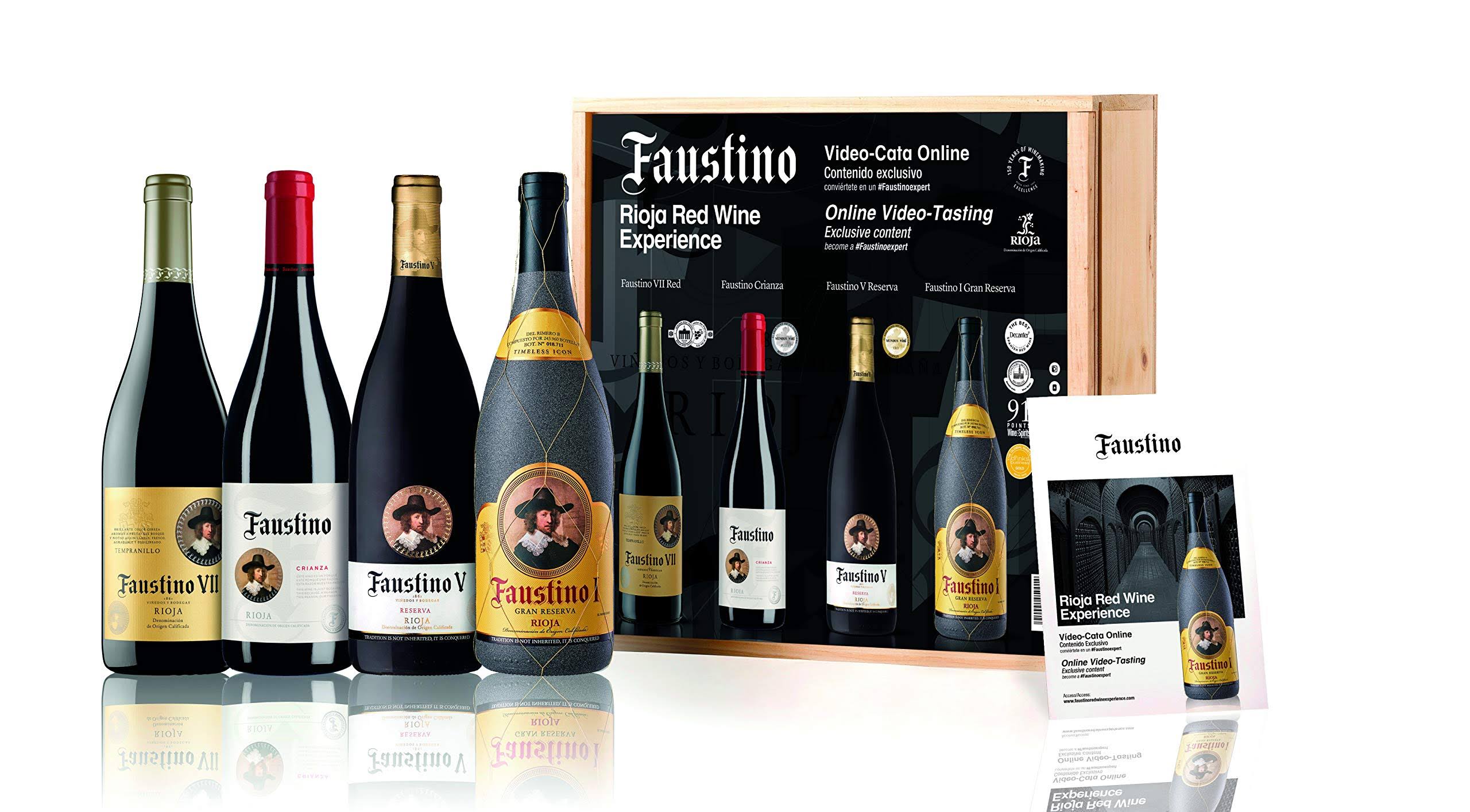 Faustino Red Wine Experience