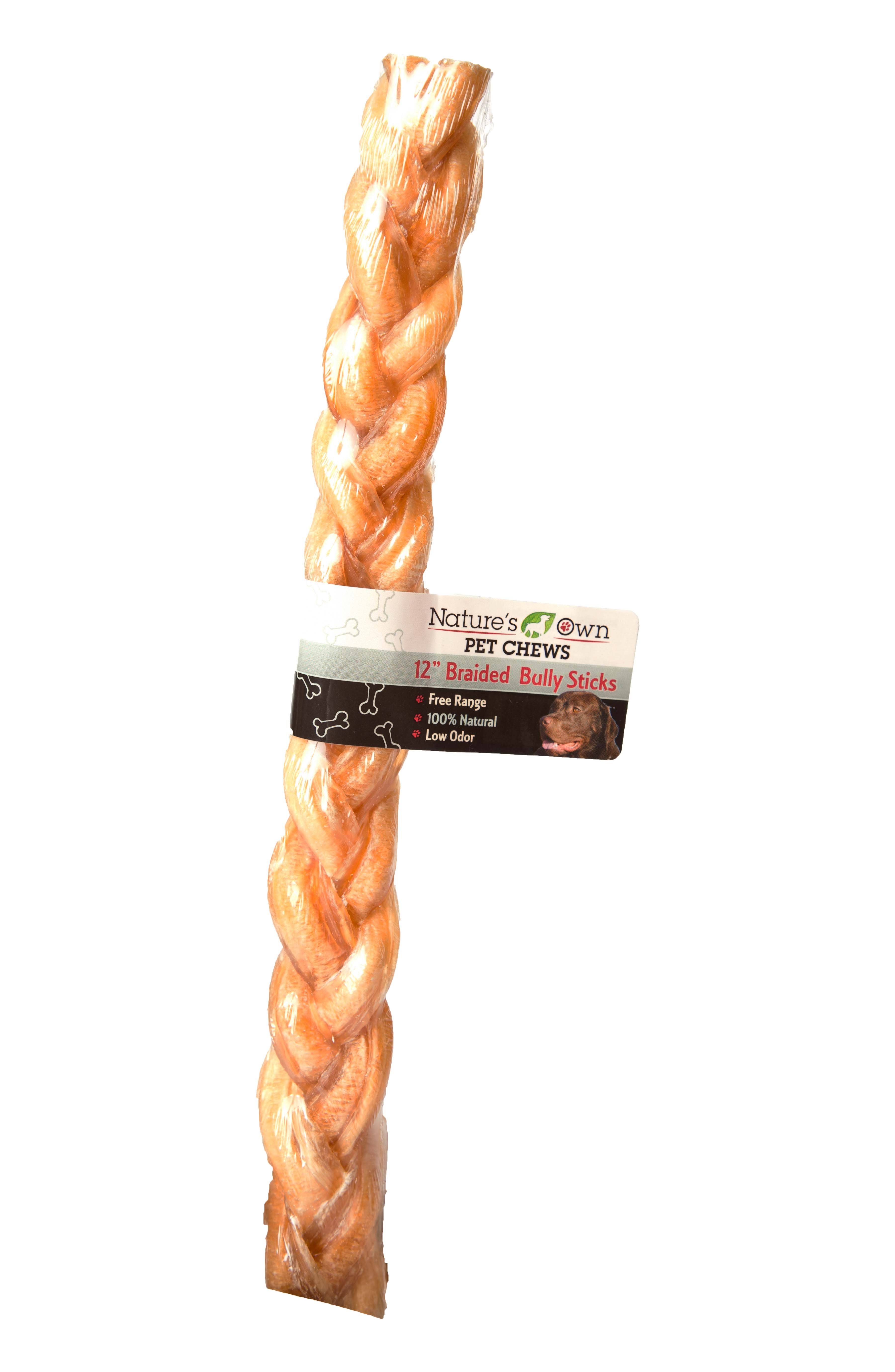 Natures Own Braided Bully Stick Dog Chew