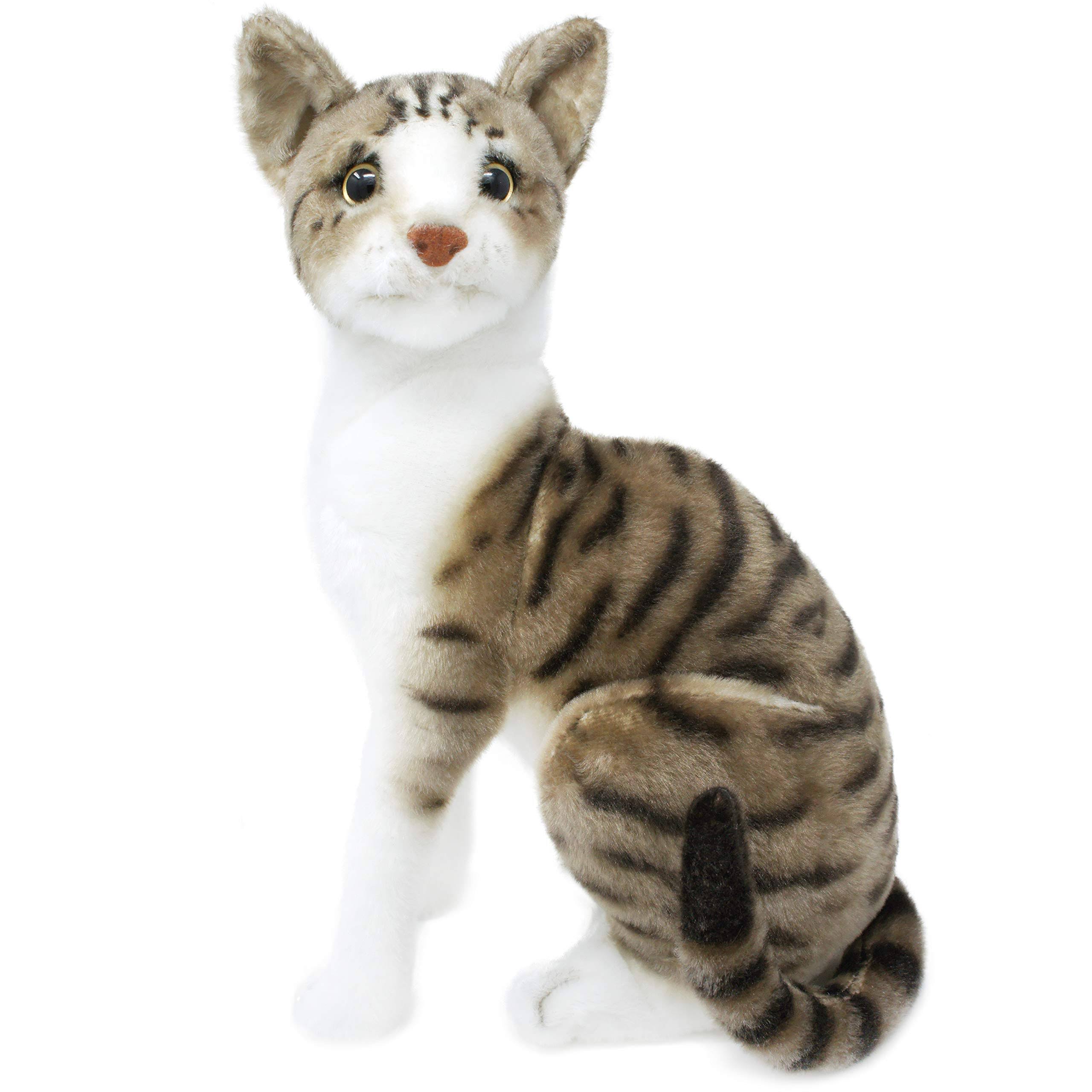 VIAHART Amy The American Shorthair Cat - 14 Inch Stuffed Animal Plush - by Tiger Tale Toys