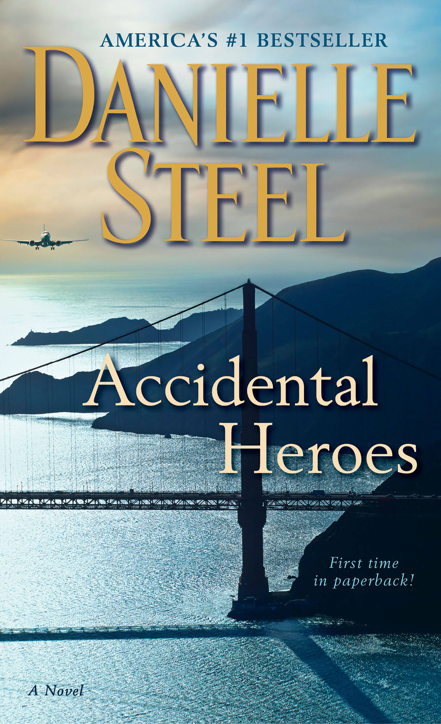 Accidental Heroes [Book]