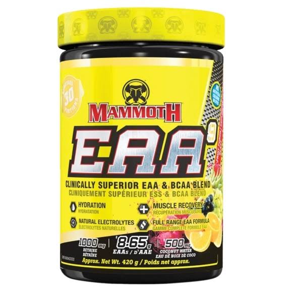 Interactive Mammoth EAA9 Fruit Punch 30 Servings