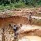 Galamsey Threatens Cocoa Production