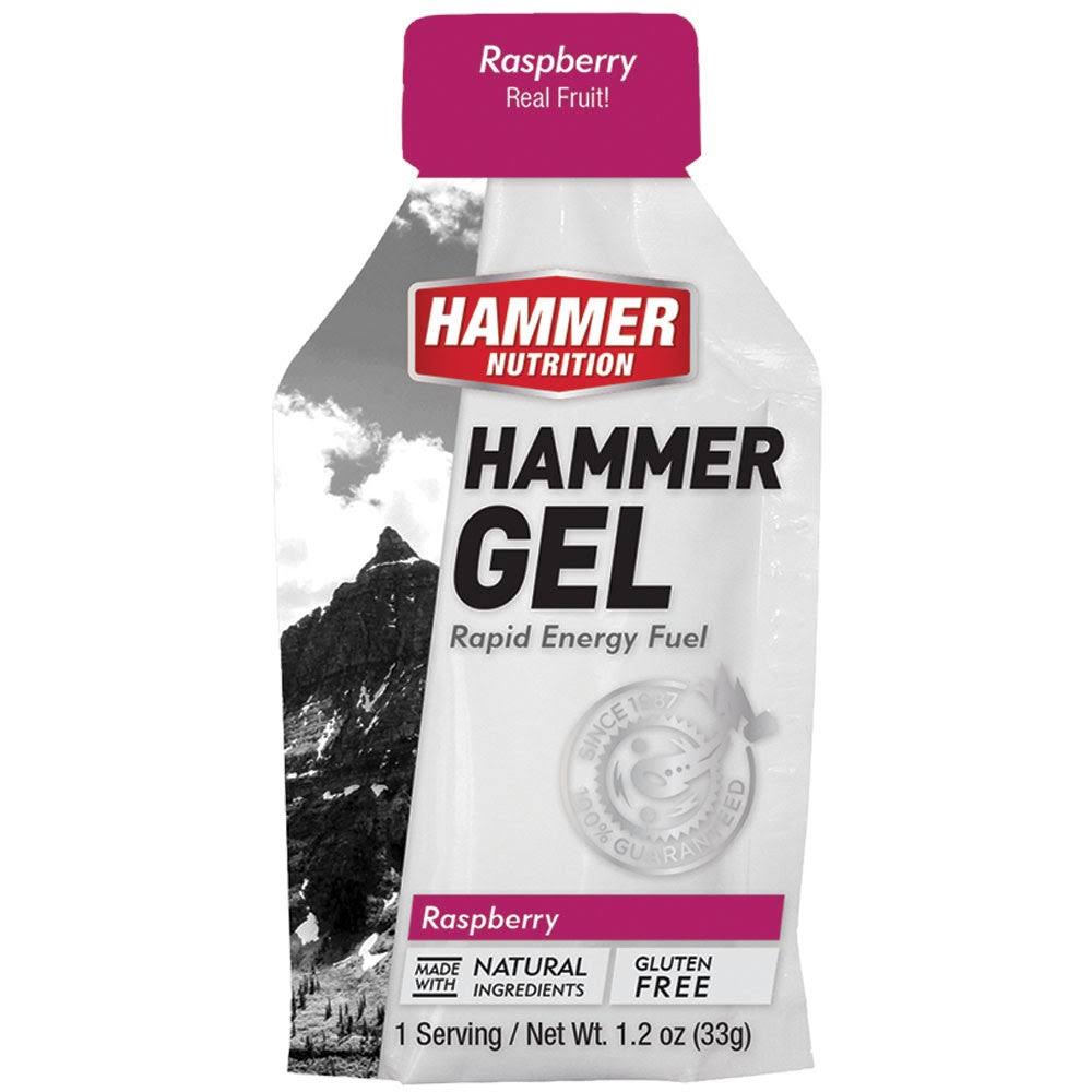 Hammer Nutrition Hammer Gel - 24 pack, Raspberry