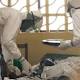 Top ebola doctor dies from virus