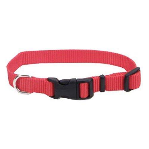 Coastal Pet Products Adjustable Nylon Dog Collar - Red, 5/8" x 10-14"