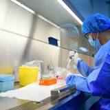 Santé. Langya, : un nouveau virus identifié en Chine, des dizaines de cas