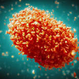 Monkeypox: Experts give virus variants new names