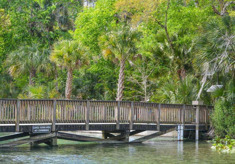 Lake Nona Florida Real Estate