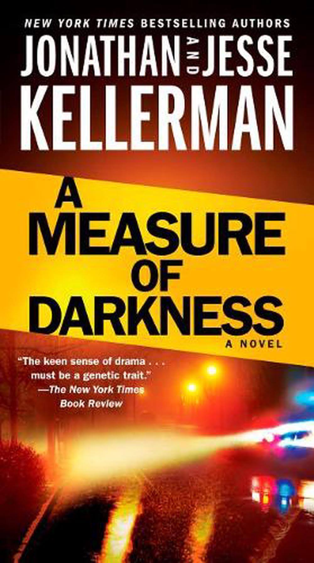 A Measure of Darkness: A Novel [Book]