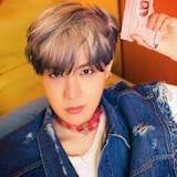 BTS's J-Hope Announced As Headliner For Lollapalooza   TXT To Make US Festival Debut