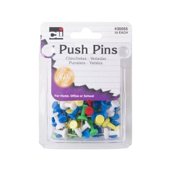 Charles Leonard Push Pins - Assorted, 55ct