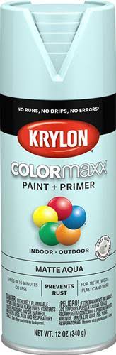 Krylon 5549: Krylon Paint