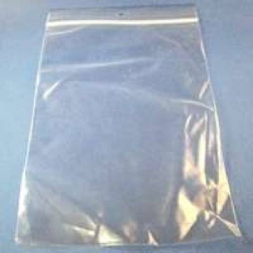 Centurion Virgin Polyethylene Recloseable Plastic Bag with Hang Hole,
