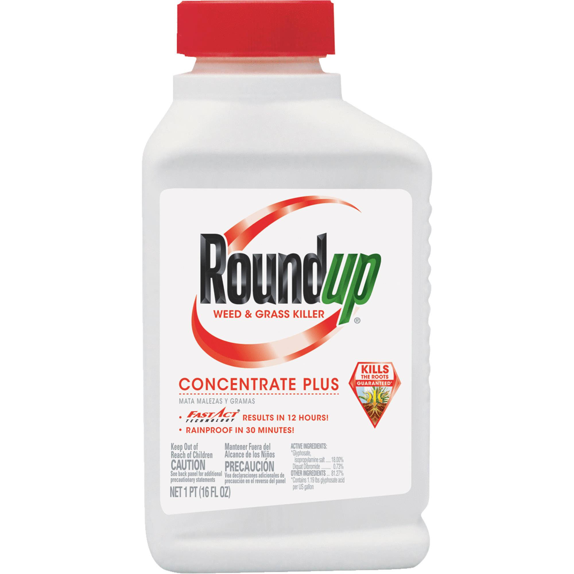 Roundup Concentrate Plus Weed and Grass Killer