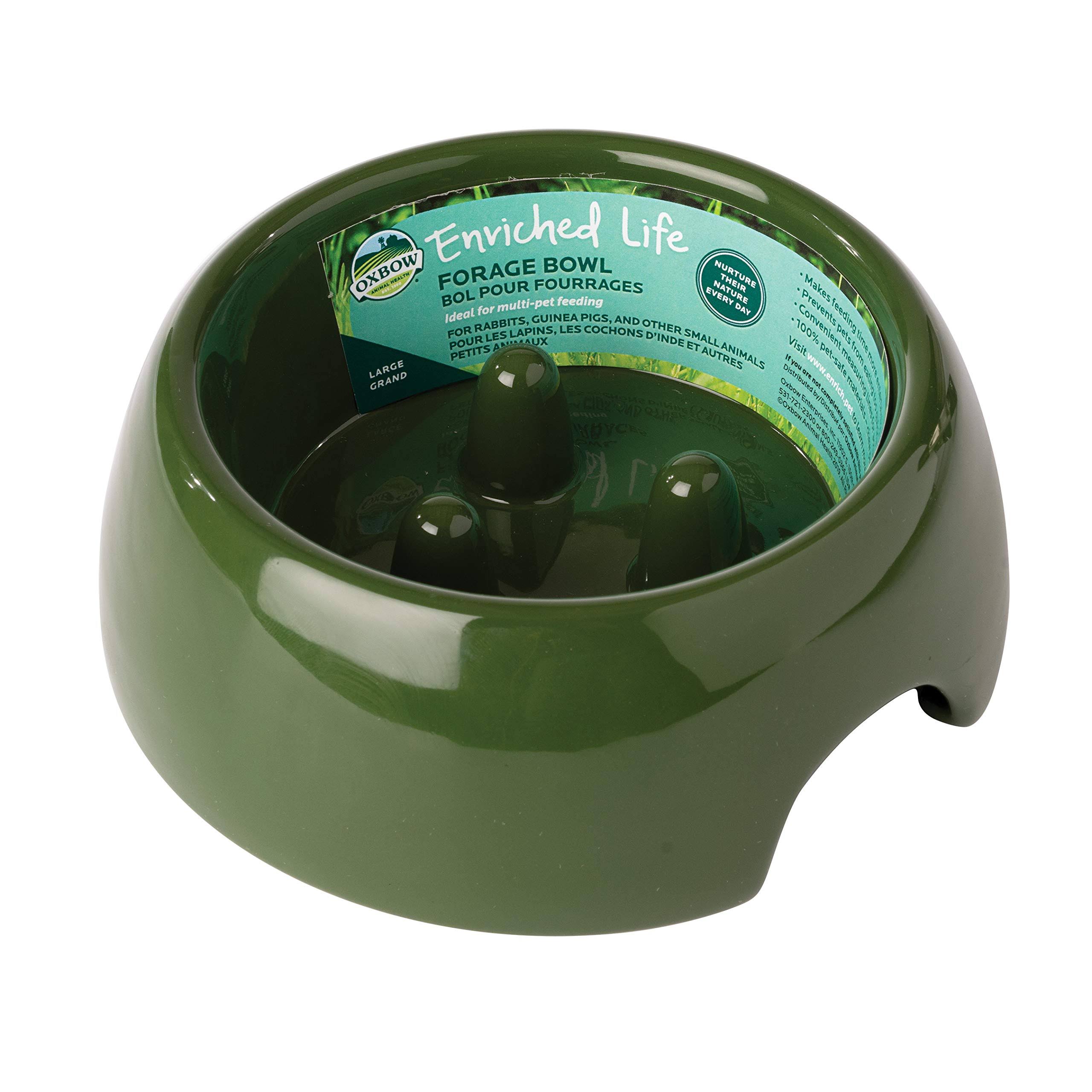 Oxbow Enriched Life Forage Small Pet Bowl, Large
