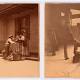 State Library of NSW displays rare 1880s Sydney snapshots 