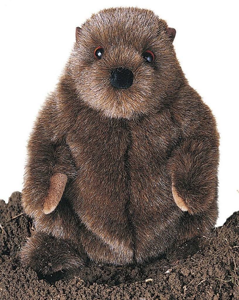 Douglas Chuckwood Groundhog Plush Stuffed Animal Toy - 11"