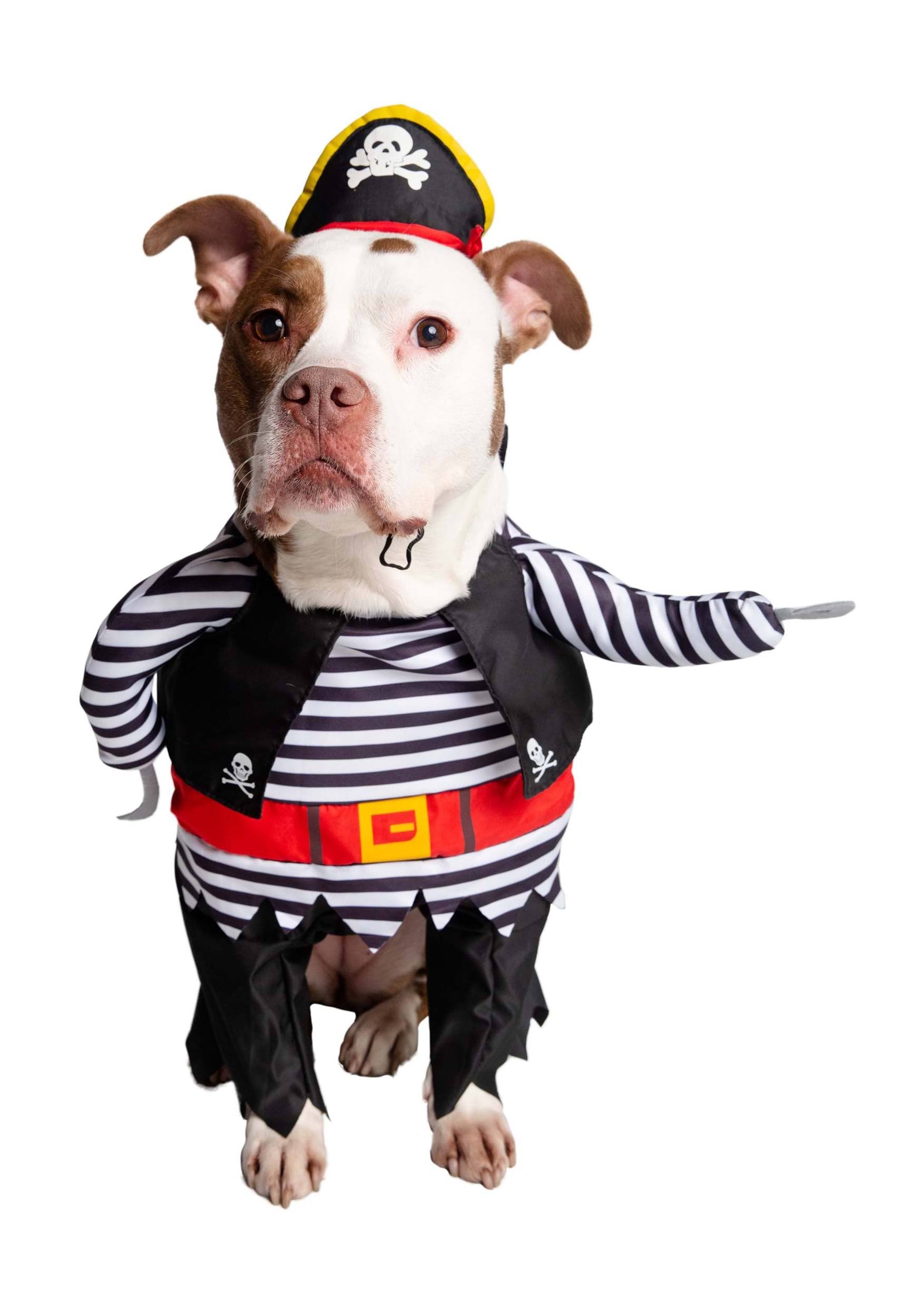 Pet Krewe Pirate Pet Costume Set Large
