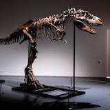 Skeleton of 77-million-year-old dinosaur up for auction in New York