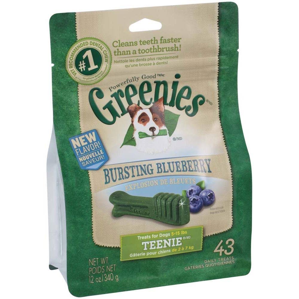 Greenies Blueberry Petite Dog Treats, 12 oz