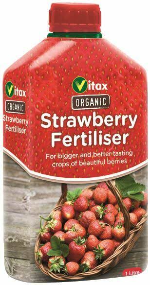 Vitax Organic Liquid Strawberry Feed 1L Plant Feeds 5SF1