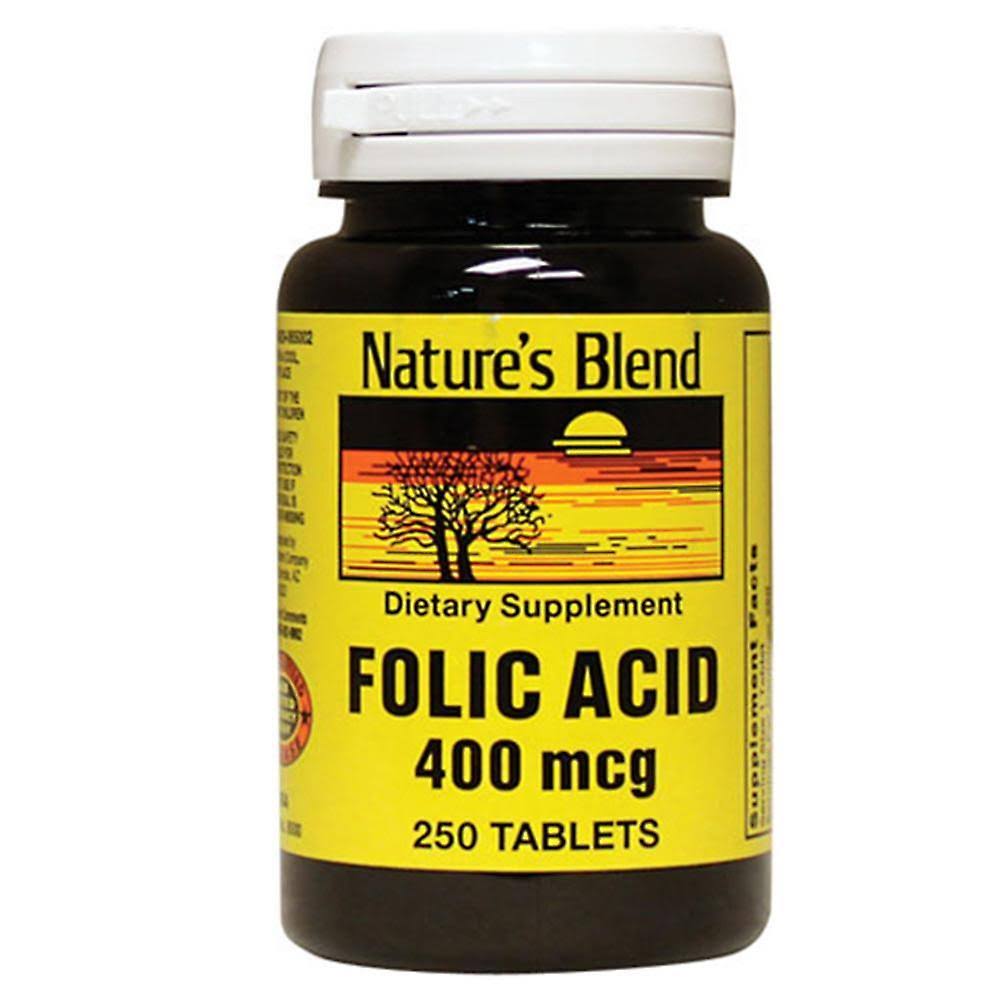 Nature's Blend Folic Acid Vitamins - 400mcg, 250ct